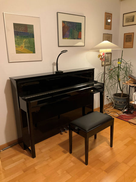 Yamaha Hybrid Piano NU1 kaufen gebraucht occasion musikbörse ricardo.ch