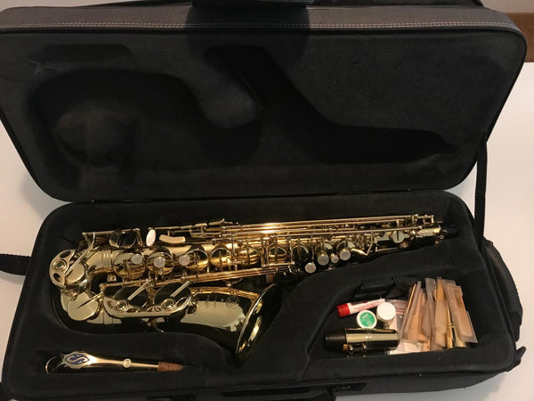 Altsaxophon Selmer Serie 3 kaufen gebraucht occasion musikbörse ricardo.ch