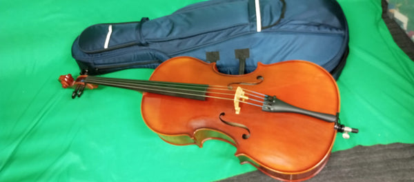 Violoncello Roderich Paesold kaufen gebraucht occasion musikbörse ricardo.ch